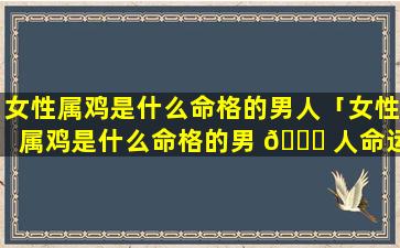 女性属鸡是什么命格的男人「女性属鸡是什么命格的男 🐘 人命运」